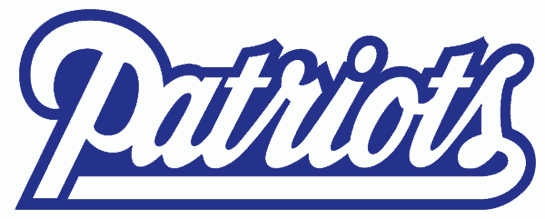 New England Patriots 1993-1999 Wordmark Logo iron on transfers for fabric